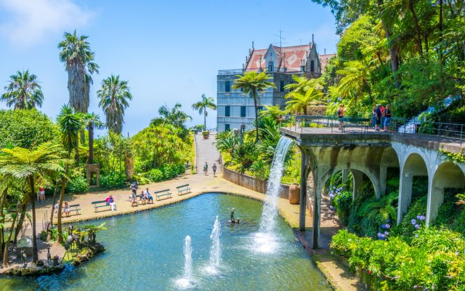 Explore Madeira by tuk tuk and discover the best of Funchal